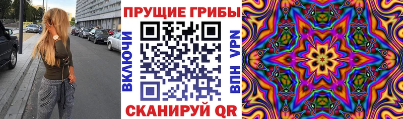 Галлюциногенные грибы Magic Shrooms  где купить   Алапаевск 